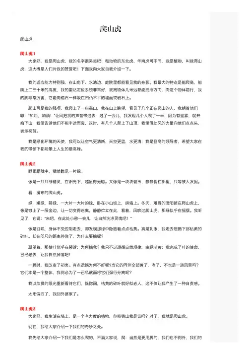 爬山虎——精选推荐
