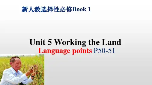 Unit 5 Language points 课件-高中英语人教版(2019)选择性必修第一册 
