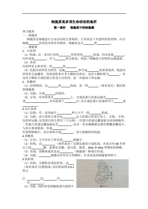 2.3 细胞质是多项生命活动的场所 细胞质中的细胞器 学案  浙科版(2019)高中生物必修一
