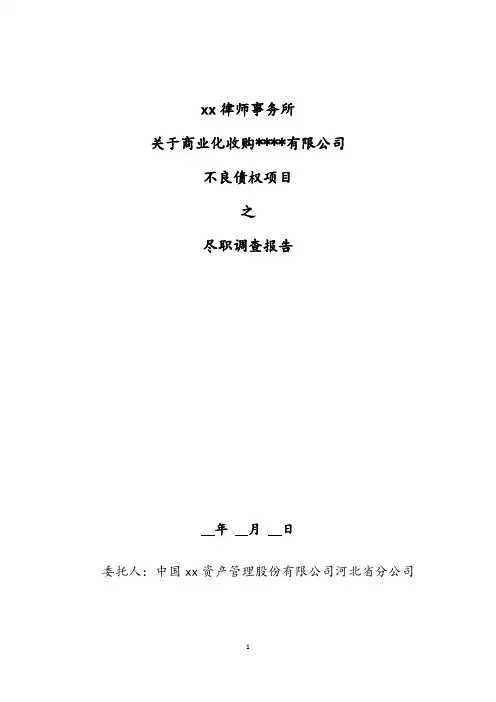 不良资产项目律师法律尽调报告(模板)