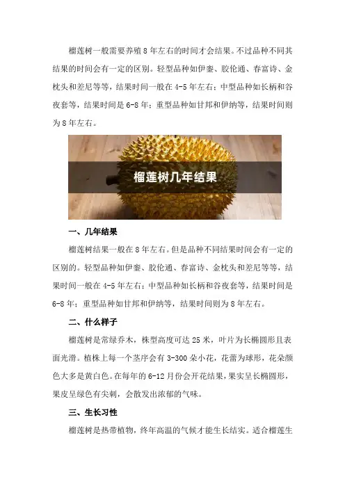 榴莲树几年结果,榴莲树什么样子