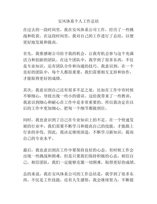 安风体系个人工作总结