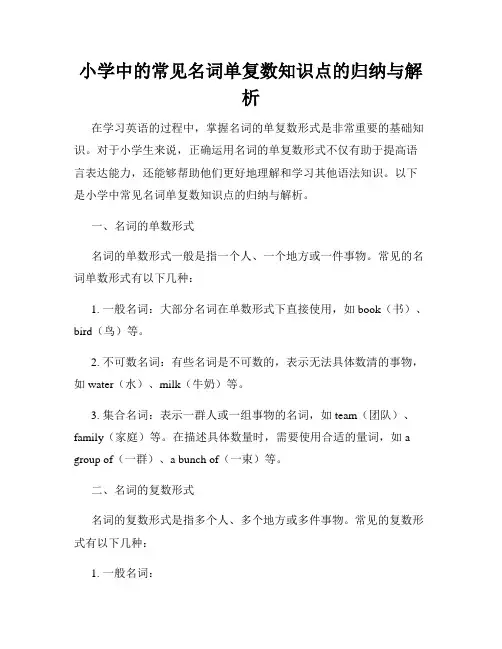 小学中的常见名词单复数知识点的归纳与解析