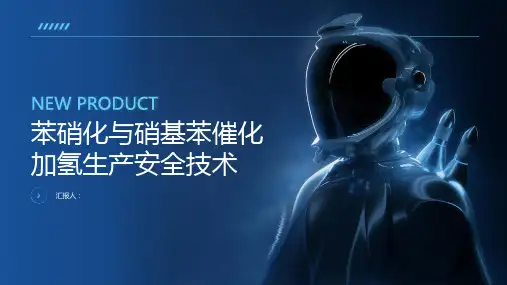 苯硝化与硝基苯催化加氢生产安全技术