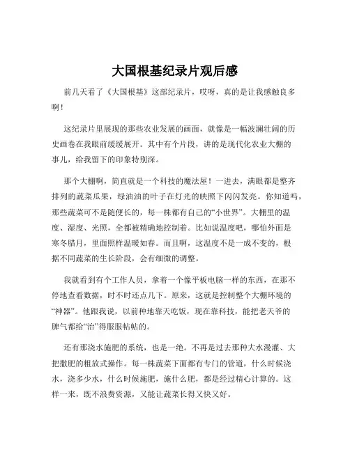 大国根基纪录片观后感