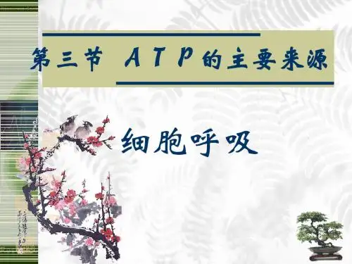第五章第三节细胞呼吸