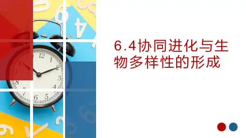 《协同进化与生物多样性的形成》pptx