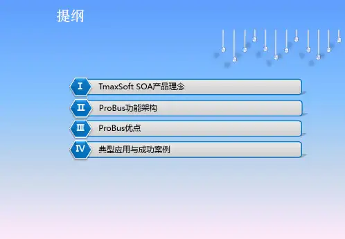 SOA企业服务总线解决方案(ESB)-ProBus