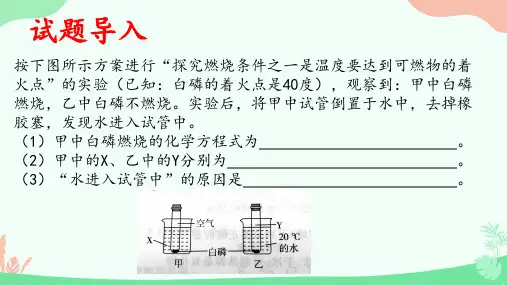 2024年河北省中考化学备考理化综合专题