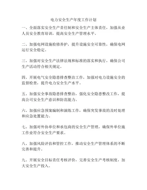 电力安全生产年度工作计划
