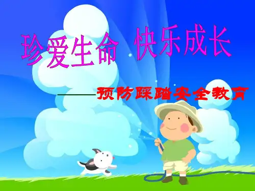 防踩踏安全教育(PPT38页)