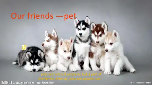 英语宠物英文介绍presentation