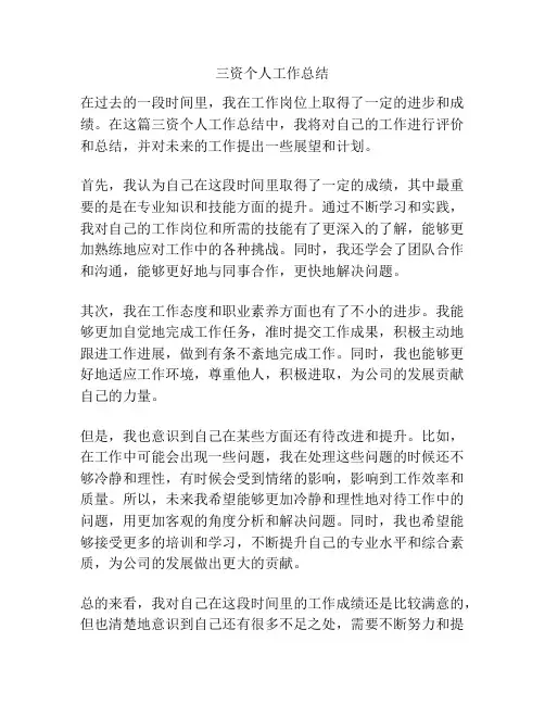 三资个人工作总结