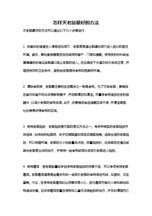 怎样灭老鼠最好的方法