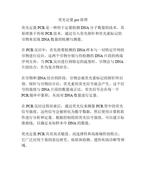 荧光定量pcr原理