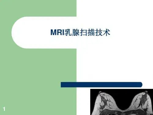 乳腺MRIppt课件