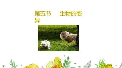 【课件】第五节  生物的变异