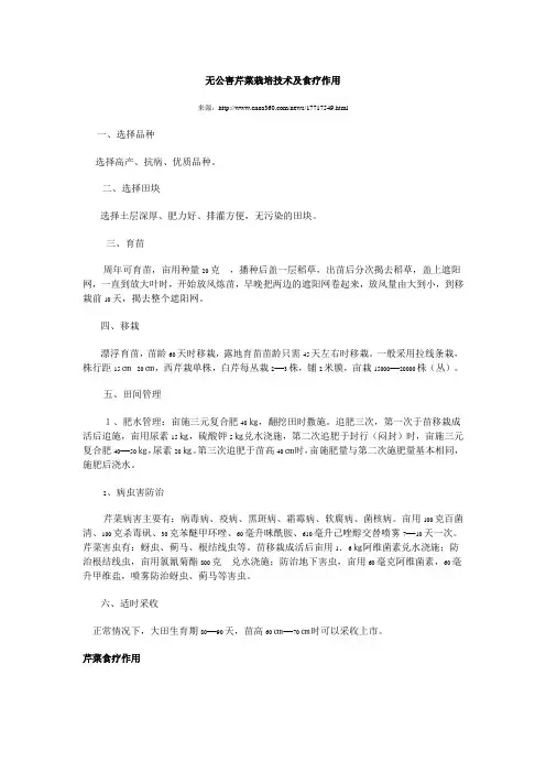 无公害芹菜栽培技术及食疗作用