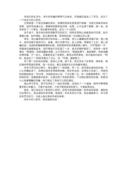 成长中的小厨师
