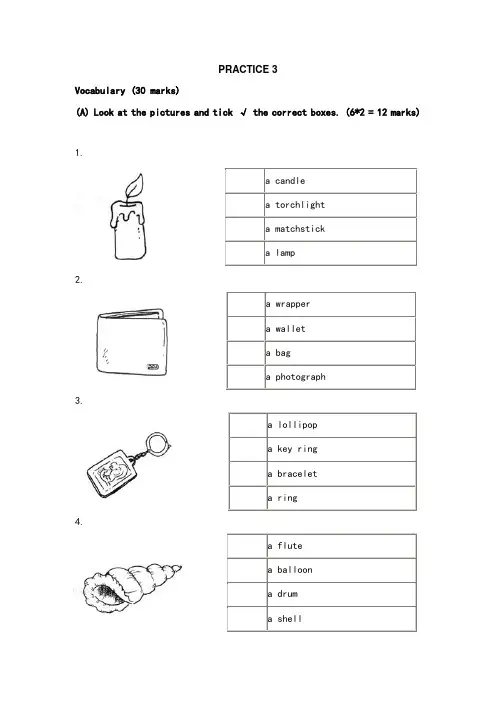 新加坡小学英语试卷一年级PRACTICE 3