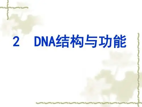 分子生物学第二章DNA结构与功能