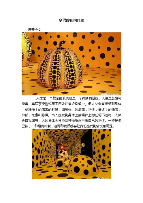 多巴胺和内啡肽