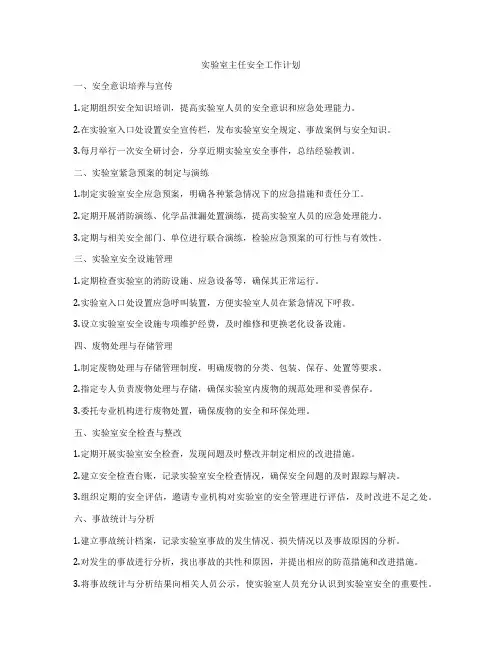 实验室主任安全工作计划