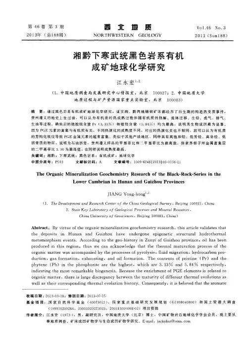 湘黔下寒武统黑色岩系有机成矿地球化学研究