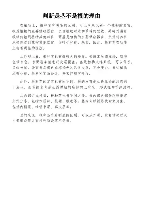 判断是茎不是根的理由