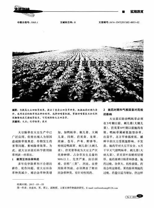 大豆田化学除草技术