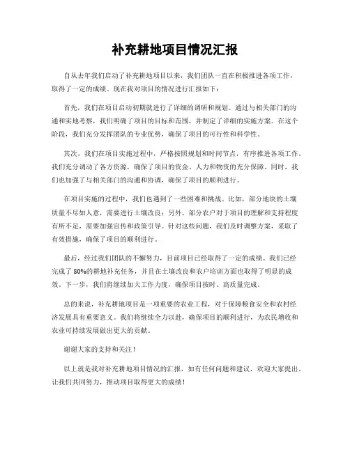 补充耕地项目情况汇报