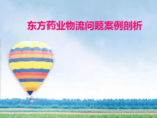 东方药业物流问题案例剖析