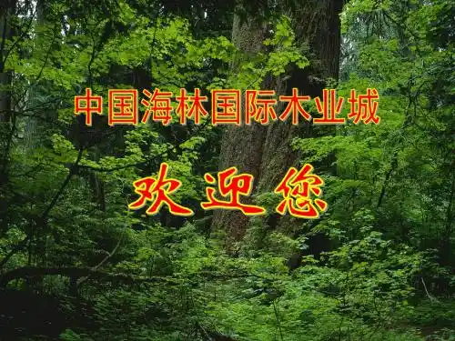 中国·海林招商网-海林市招商引资门户网,海林市招商局网-