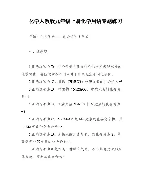 化学人教版九年级上册化学用语专题练习