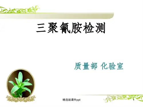 三聚氰胺培训ppt课件