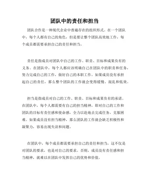 团队中的责任和担当