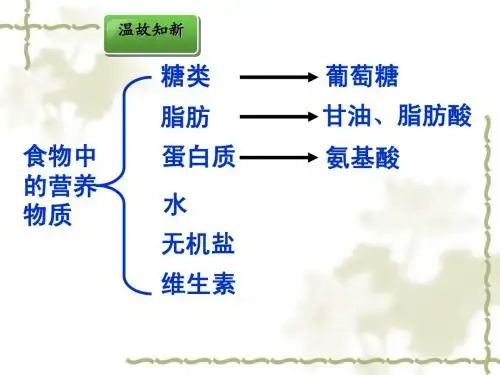 合理营养和食品安全