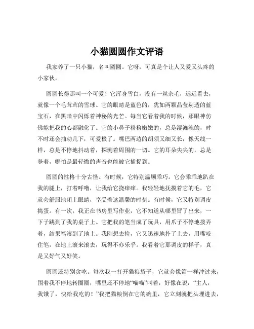 小猫圆圆作文评语