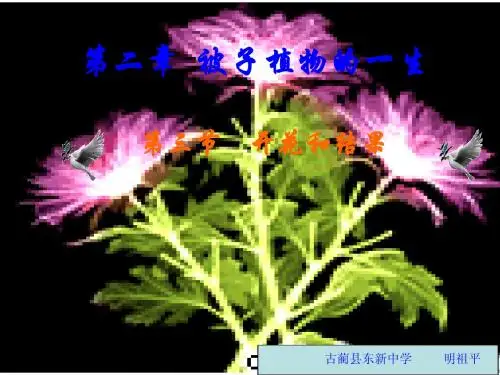 开花和结果   课件
