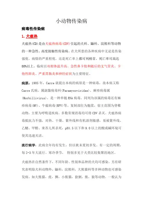 小动物疾病
