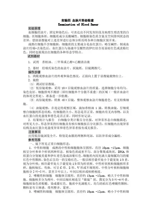 实验四-血涂片形态检查