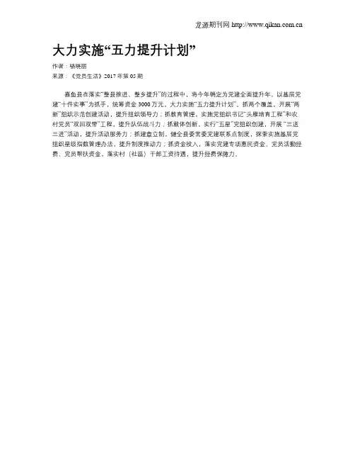 大力实施“五力提升计划”