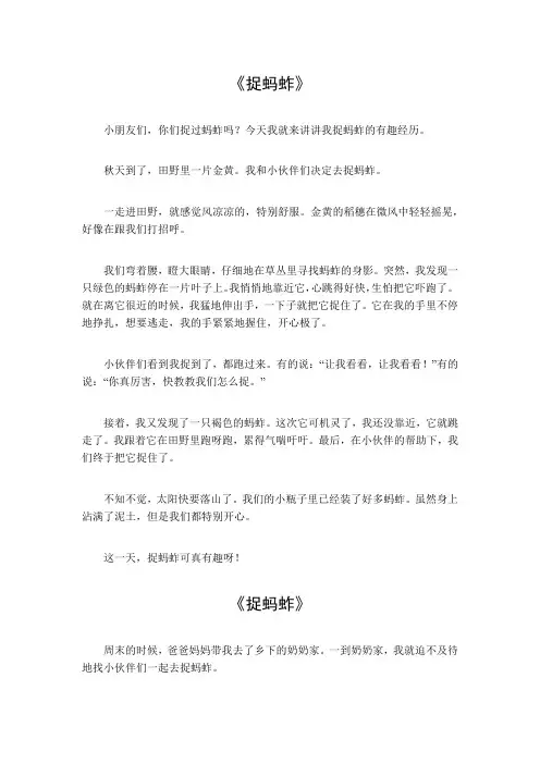 生活中的一个小镜头,作文捉蚂蚱350字