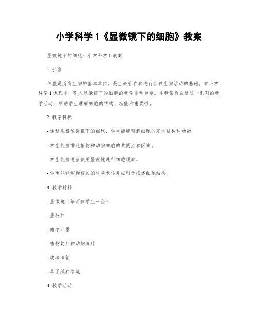 小学科学1《显微镜下的细胞》教案