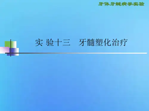 牙体牙髓病学实验