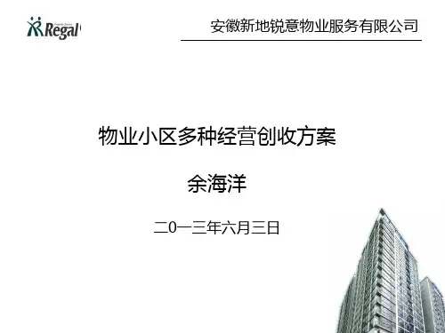 多种经营创收方案(余海洋)2013060622