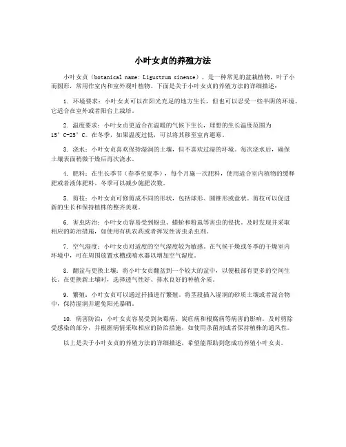 小叶女贞的养殖方法