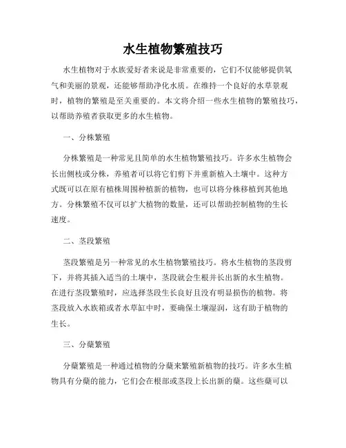 水生植物繁殖技巧
