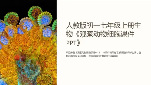 人教版初一七年级上册生物《观察动物细胞课件》