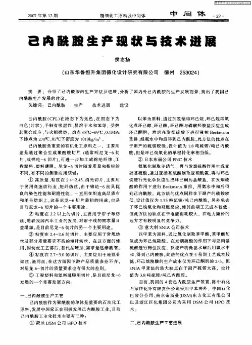 己内酰胺生产现状与技术进展